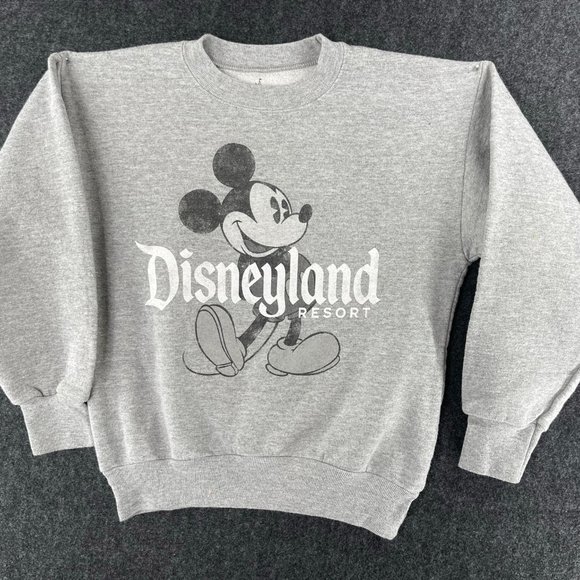 Disney Other - Walt Disney World By Hanes Women's Gray Cotton Blend Long Sleeve Sweatshirt